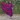 Article 16807107 10212202881815657 5279751395242101995 n