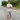 Article 127189390 4013898755305591 1410329925840052361 o